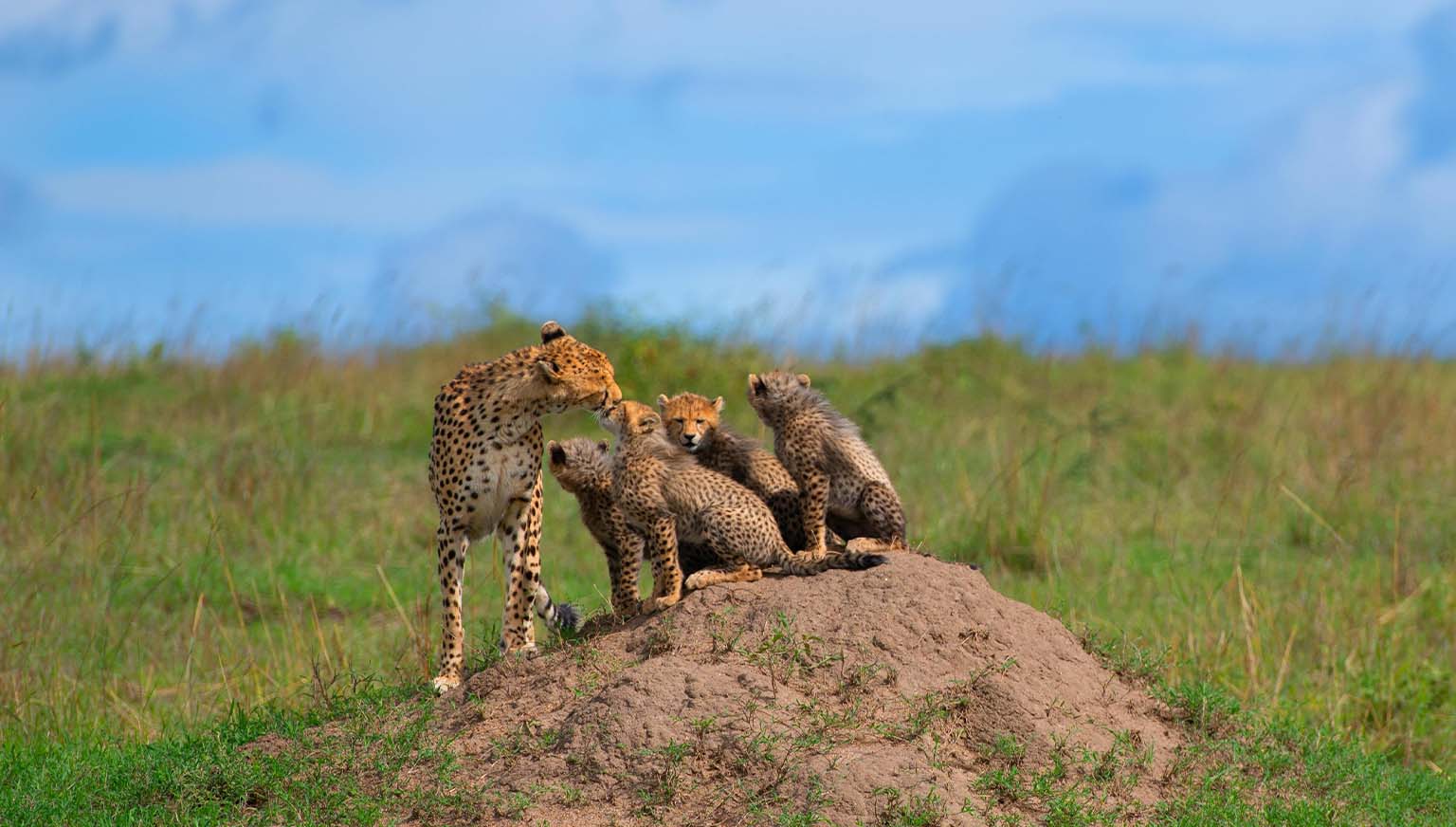2-days-ngorongoro-tarangire