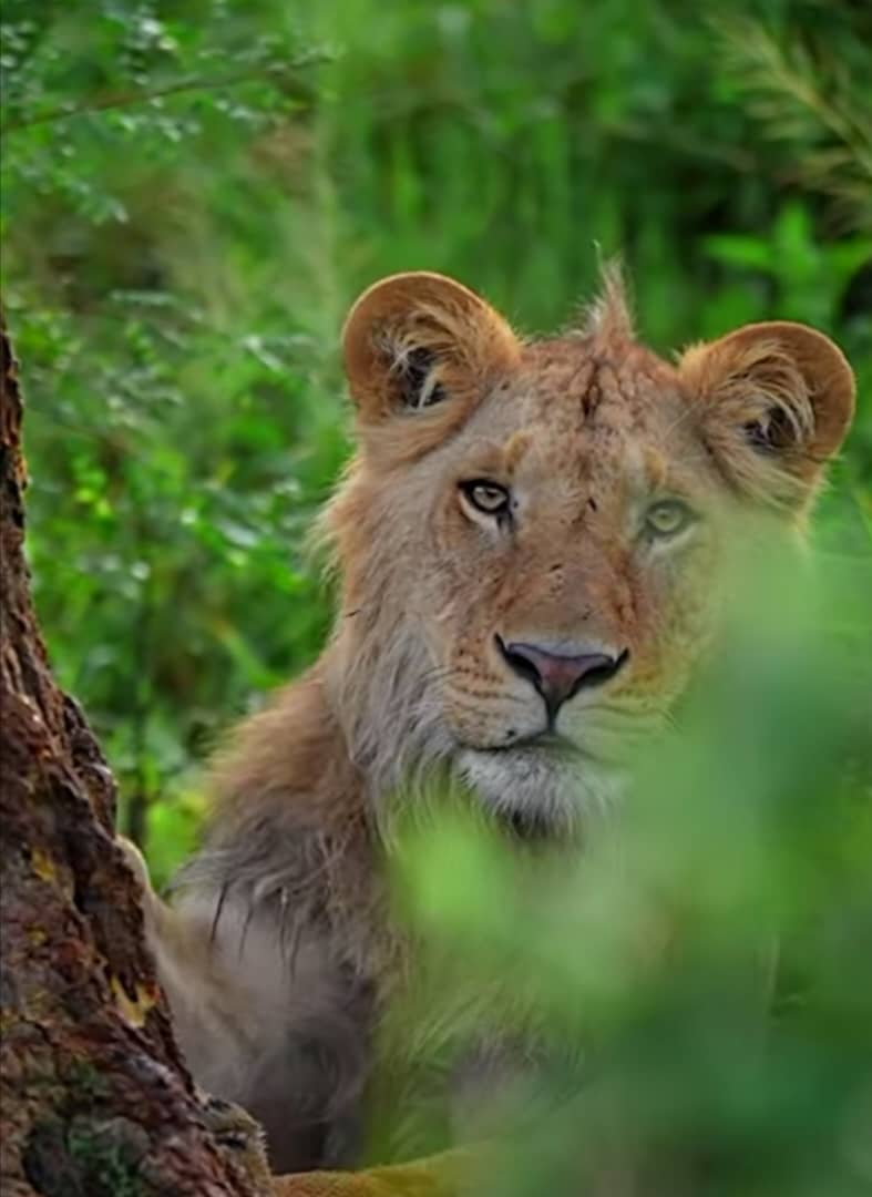 WhatsApp Image 2025-06-05 at 15.49