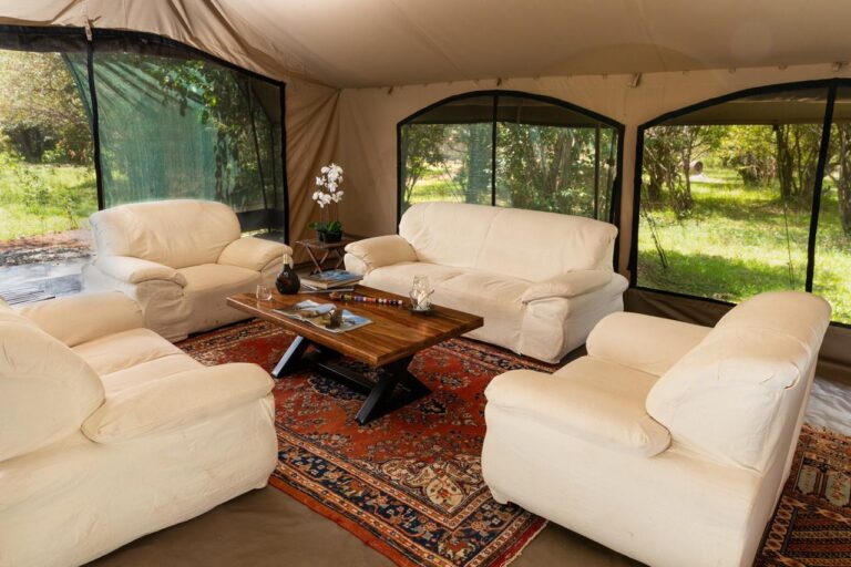 Hammerkop-lodges-mara1hhh